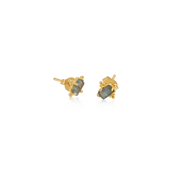 Ever evolving Stecker Ohrring