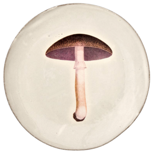 Teller CHAMPIGNON Mauve Astier de Villatte