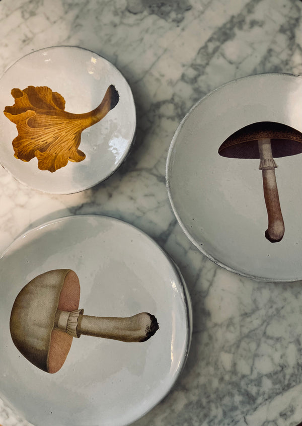 Teller CHAMPIGNON Mauve Astier de Villatte